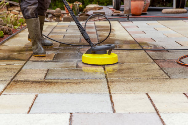 Best Solar Panel Cleaning  in Wardsville, MO